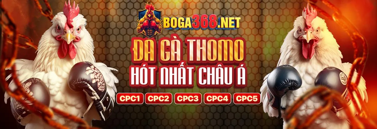Khuyến mãi chào mừng cho người mới tại 188bet 250 nhà cái